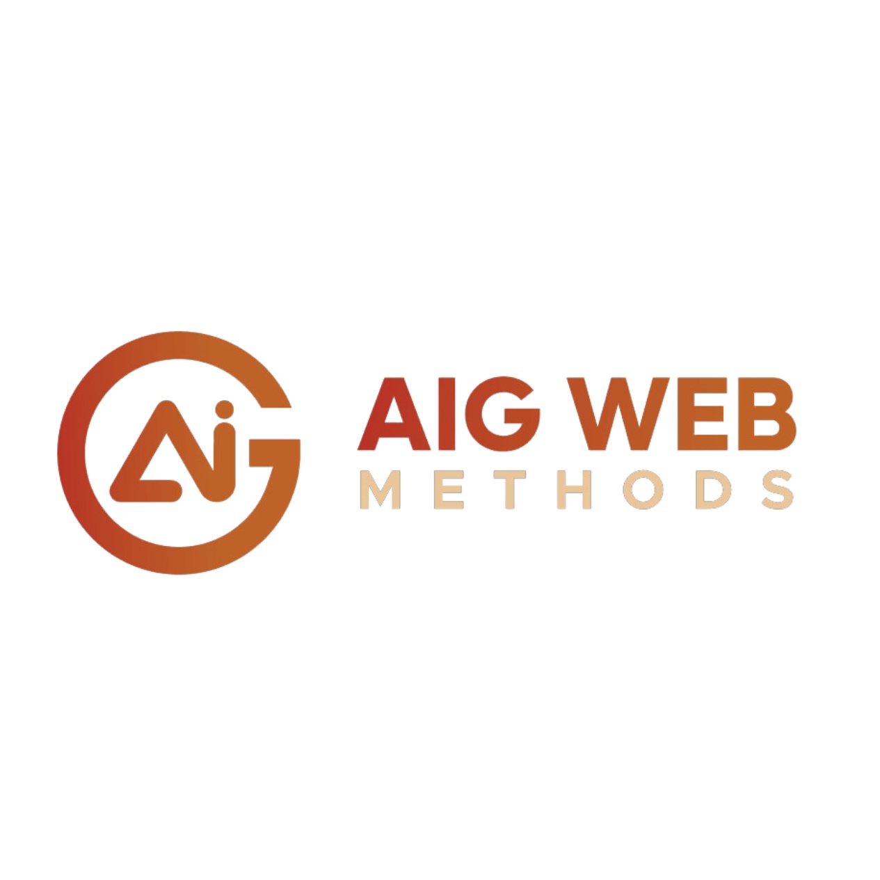 AIG Web Methods logo